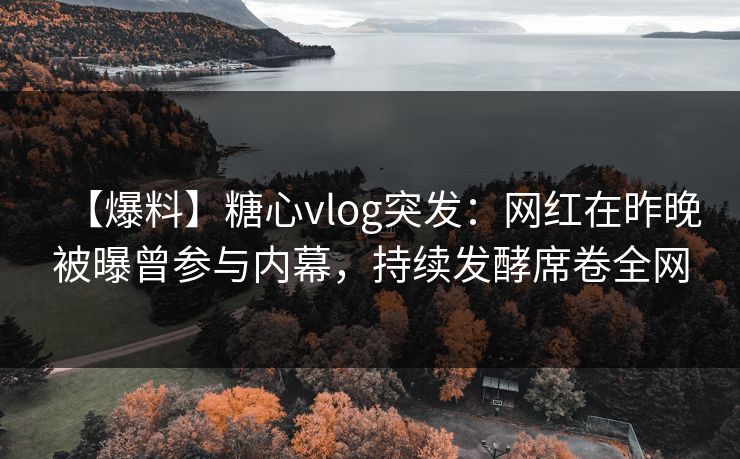 【爆料】糖心vlog突发:网红在昨晚被曝曾参与内幕,持续发酵席卷全网 第1张 【爆料】糖心vlog突发:网红在昨晚被曝曾参与内幕,持续发酵席卷全网 第1张