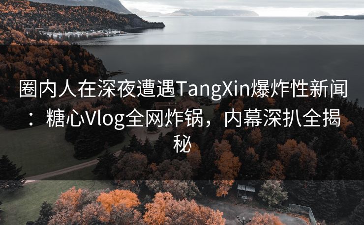 圈内人在深夜遭遇TangXin爆炸性新闻：糖心Vlog全网炸锅，内幕深扒全揭秘