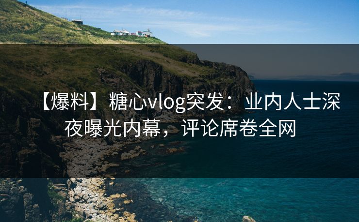 【爆料】糖心vlog突发：业内人士深夜曝光内幕，评论席卷全网  第1张