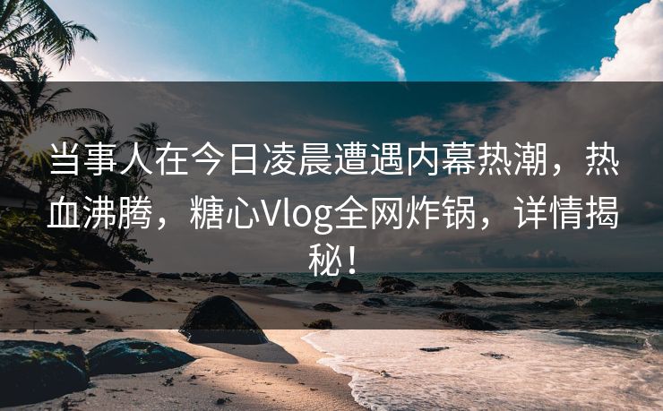 当事人在今日凌晨遭遇内幕热潮，热血沸腾，糖心Vlog全网炸锅，详情揭秘！  第1张