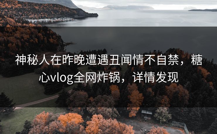 神秘人在昨晚遭遇丑闻情不自禁，糖心vlog全网炸锅，详情发现