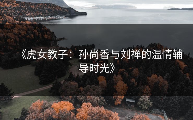 《虎女教子：孙尚香与刘禅的温情辅导时光》