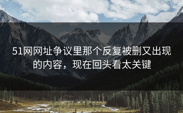 51网网址争议里那个反复被删又出现的内容，现在回头看太关键